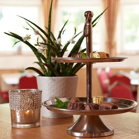 Hotell Hubertushof Flachau